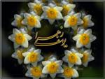  تصویر گل نرگس شخصی 