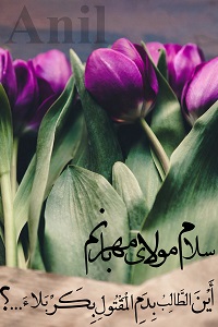  تصویر آنیل شخصی 