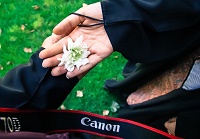  تصویر mohadeseh شخصی 